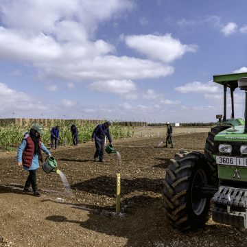 Water sustainability in Morocco: A national movement towards a common resilient future