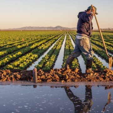 Morocco empowers caribbean agriculture through digital innovation and South-South cooperation