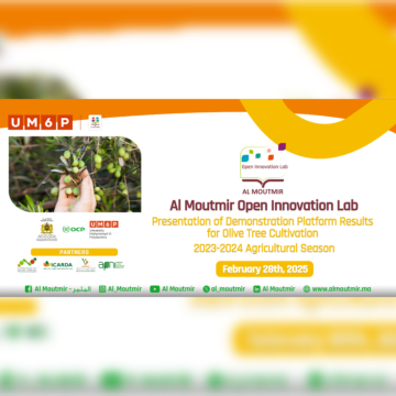 Al Moutmir: 16th Open Innovation Lab – Sharing insights on the olive trees campaign 23-24