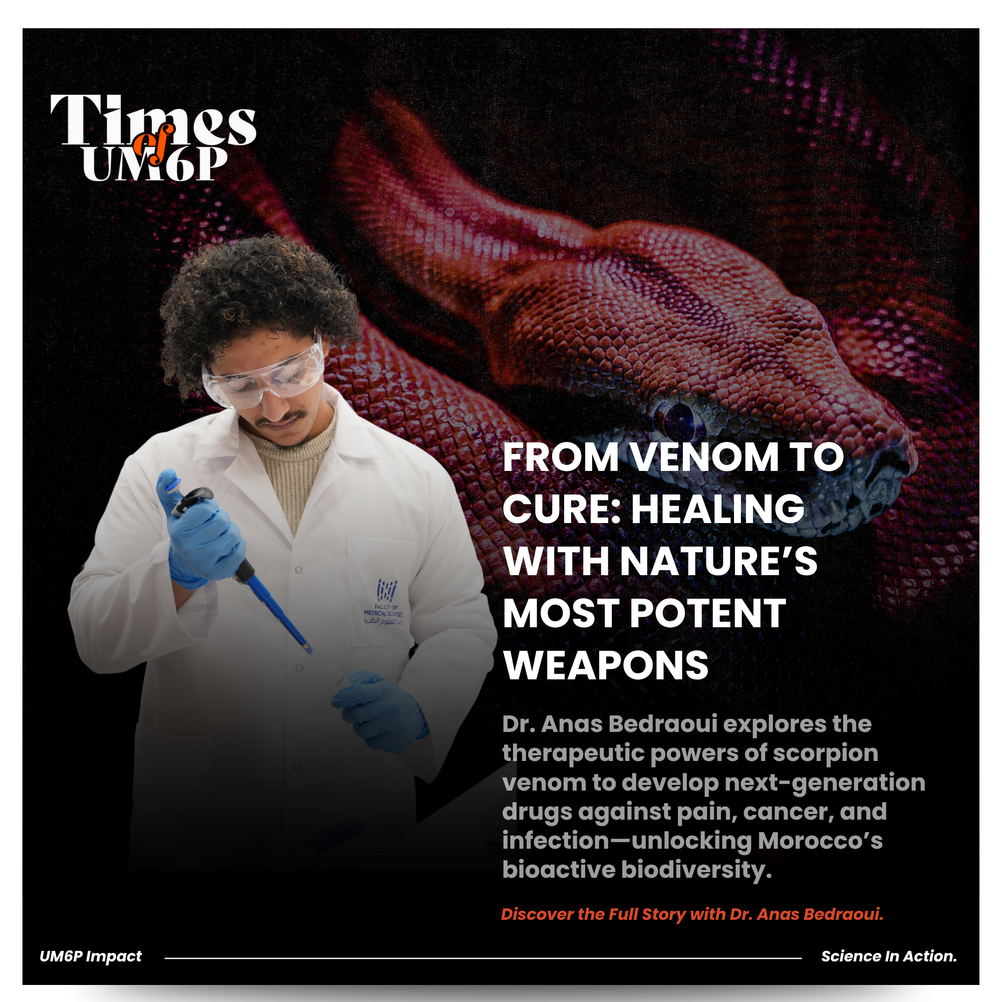 From Venom to Cure: Anas Bedraoui’s Bioactive Drug Discovery