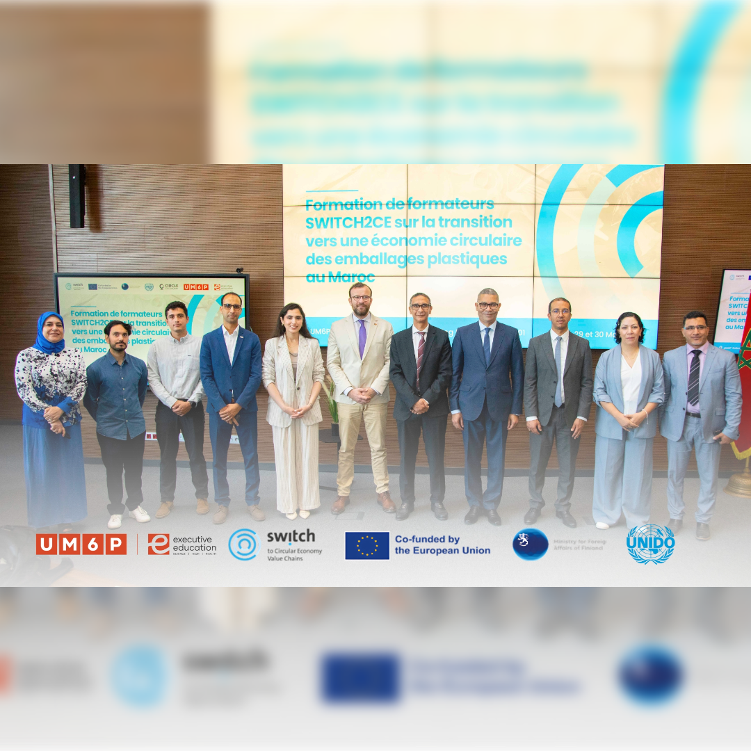 SWITCH2CE Training of Trainers on the Transition to a Circular Economy ...