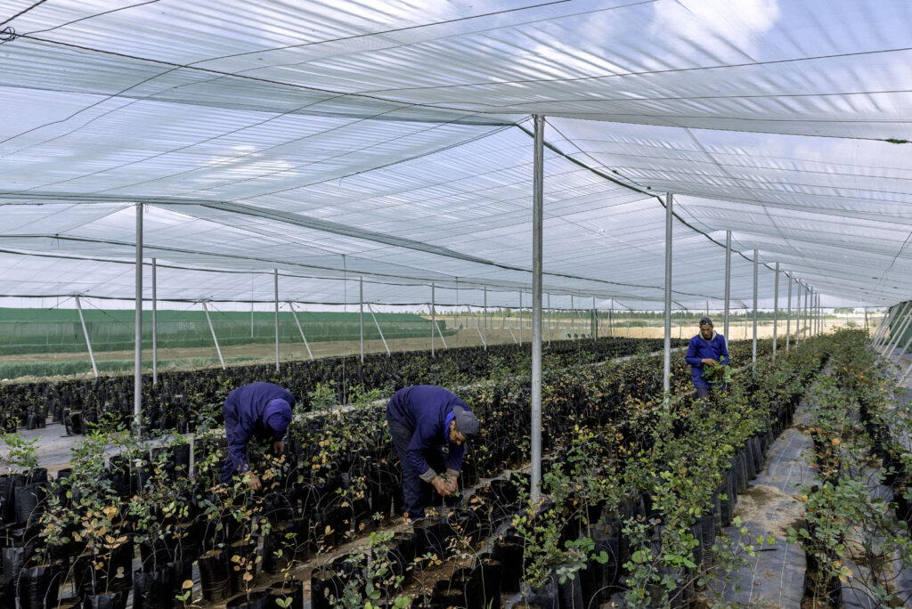 How Smart Irrigation and Mechanisation Can Secure West Africa’s Agricultural Future 1 Africa’s Agricultural Future