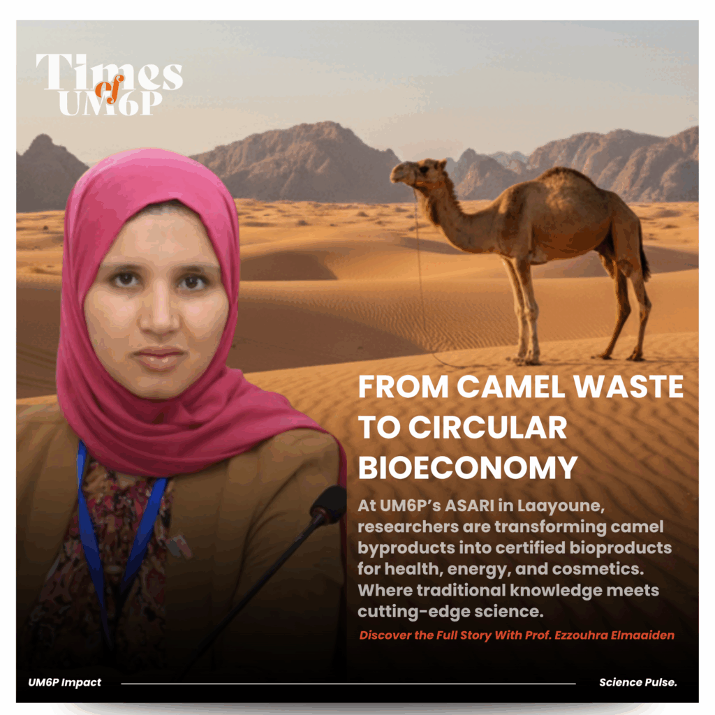 Science Pulse | From Camel Waste to Circular Bioeconomy 1 Science Pulse How Engineers at UM6P Are Reimagining the Future of Mining Byproducts