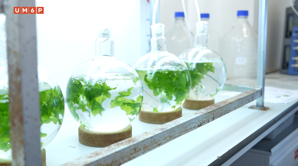 LaAyoune Desert School 2025 Advances Doctoral Training in Biomass Biorefinery Technologies 1 LaAyoune Desert School 2025 Advances Doctoral Training in Biomass Biorefinery Technologies