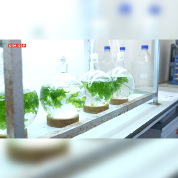 LaAyoune Desert School 2025 Advances Doctoral Training in Biomass Biorefinery Technologies