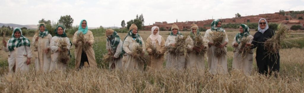 Science Pulse | Inclusion by design 3 Science Pulse | Inclusion by design